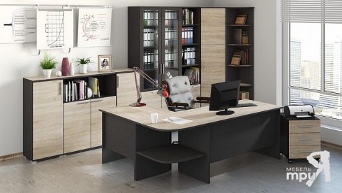 Набор офисной мебели для кабинета руководителя №4 «Успех-2» Цена-56487