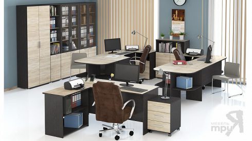 Набор офисной мебели для кабинета руководителя №5 «Успех-2» Цена-79680